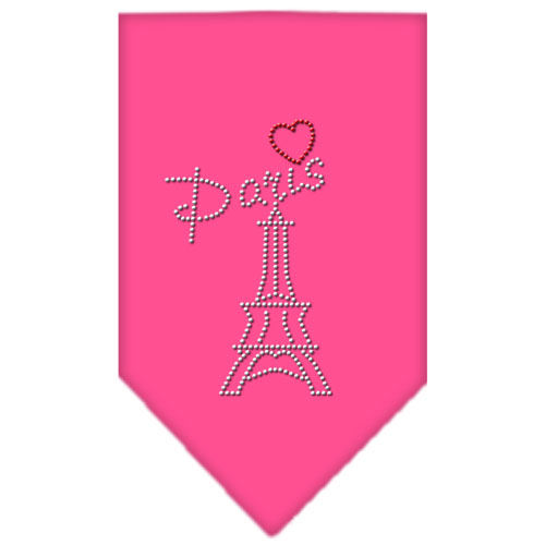Paris Rhinestone Bandana Bright Pink Small